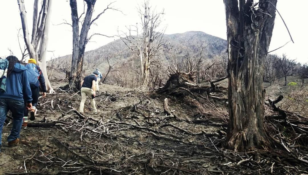 Hotel Wagelia Turrialba Zewnętrze zdjęcie