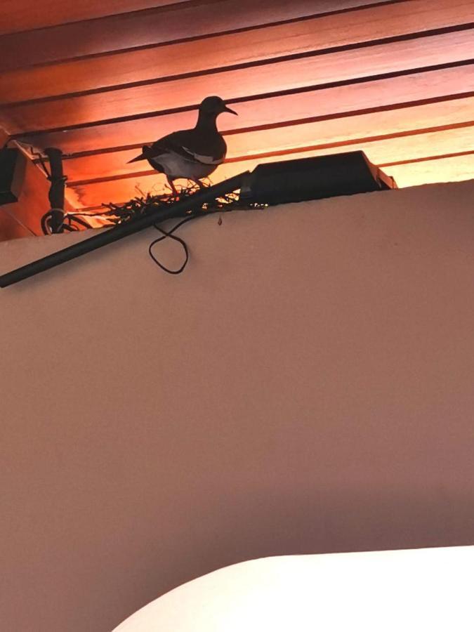 Hotel Wagelia Turrialba Zewnętrze zdjęcie